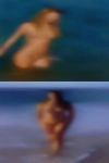 Horny mature women Tarpon