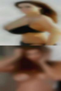 Mollidevirgilio, new Mollidevirgilio, new